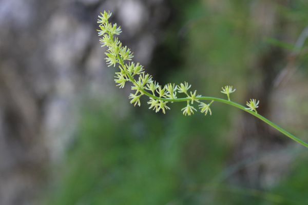 118 IMG 1802 118 IMG 1802