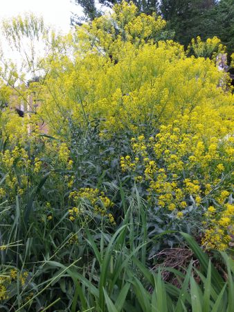 20180503 170755 20180503 170755