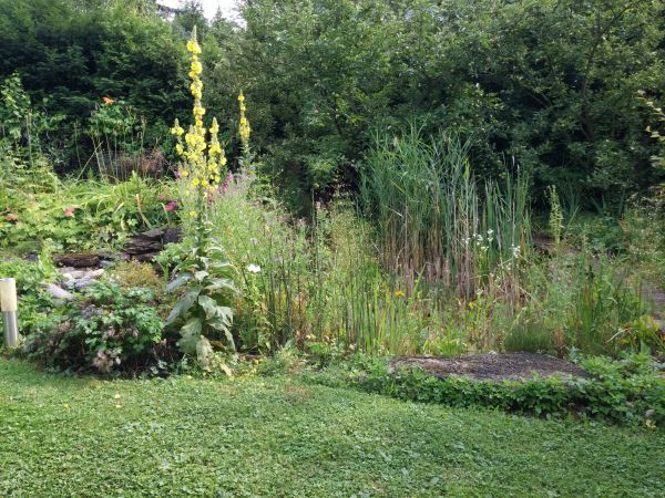 20180706 165414 20180706 165414