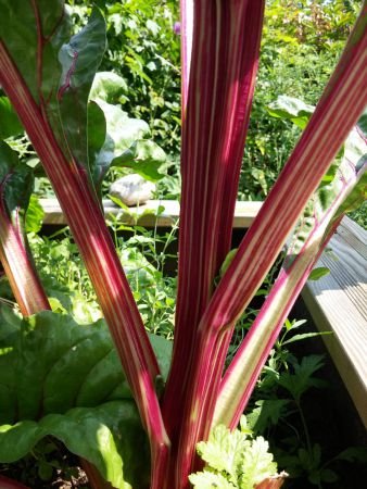 20180802 112225 20180802 112225