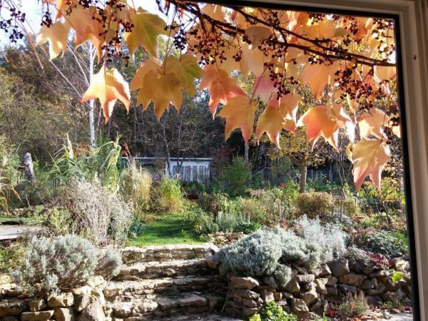 20181107 114201 20181107 114201