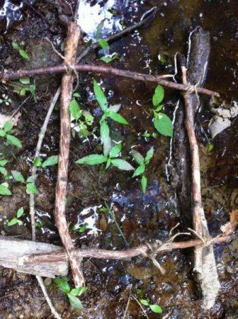 Erlebnispaedagogik200612 Pressbaum 059 Erlebnispaedagogik200612 Pressbaum 059