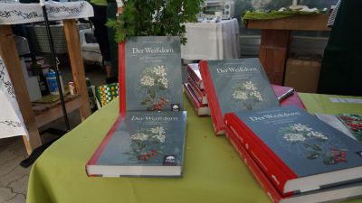 Lange Nacht der Wildkraeuter 2016 062