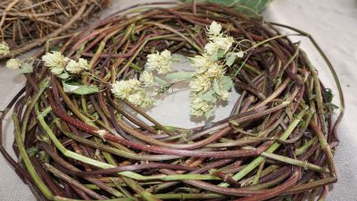 Lange Nacht der Wildkraeuter 2016 078