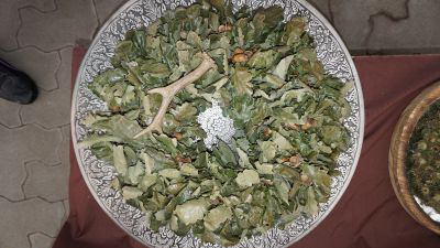 Lange Nacht der Wildkraeuter 2016 079