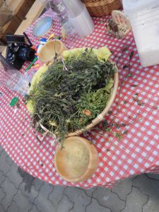 Lange Nacht der Wildkraeuter 2015 95