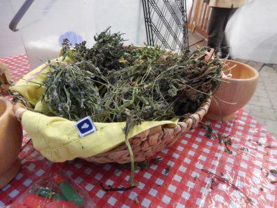 Lange Nacht der Wildkraeuter 2015 96