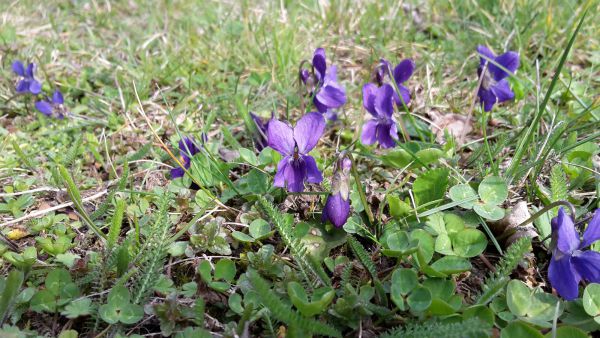 angelika nowacek 08 angelika nowacek 08