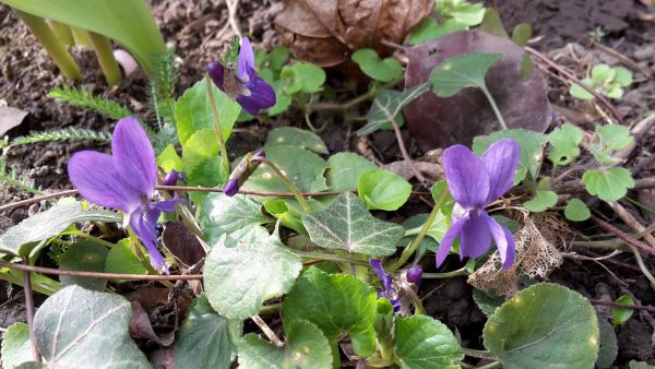 angelika nowacek 10 angelika nowacek 10