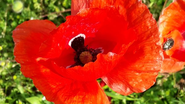 angelika nowacek 14 angelika nowacek 14