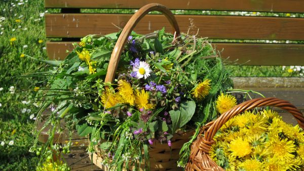 angelika nowacek 29 angelika nowacek 29