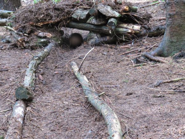 franz hoebarth kugelbahn franz hoebarth kugelbahn