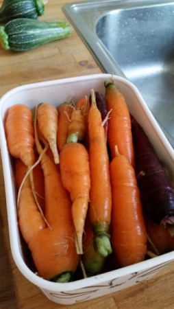 irene blasge 04 irene blasge 04