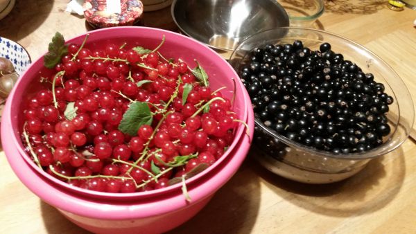 irene blasge 05 irene blasge 05