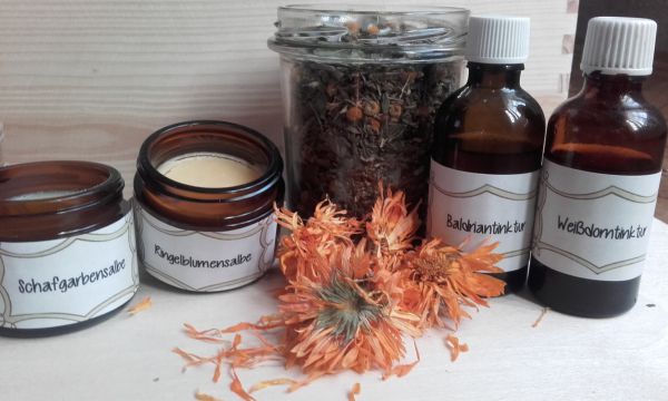 petra regner haindl 02 petra regner haindl 02