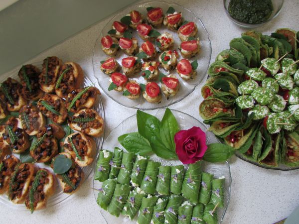 petra regner haindl 05 petra regner haindl 05