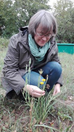 petra regner haindl 06 petra regner haindl 06