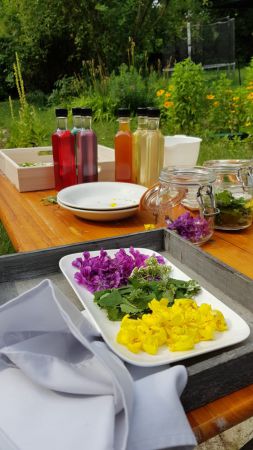 petra regner haindl 07 petra regner haindl 07