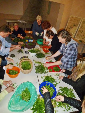 petra regner haindl 09 petra regner haindl 09