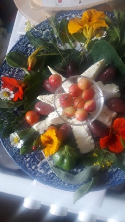 augustine muehlehner 04 augustine muehlehner 04