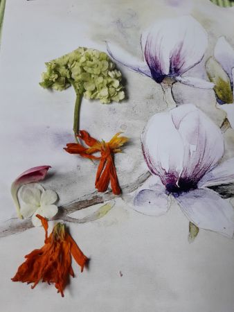 augustine muehlehner 05 augustine muehlehner 05