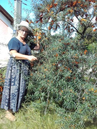 augustine muehlehner 06 augustine muehlehner 06