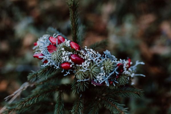 claudia gobec 04 claudia gobec 04